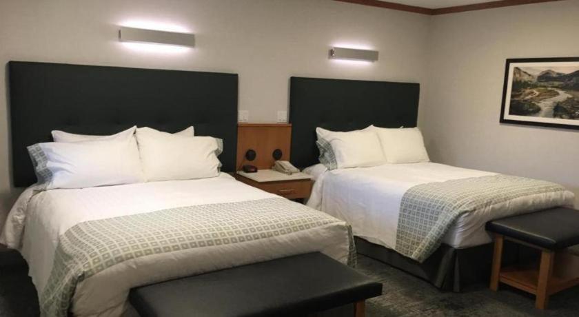 Hotel Mount Robson